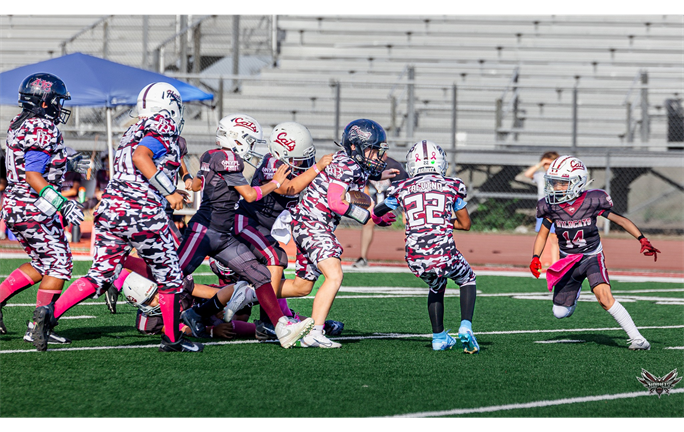 2026 Football Season